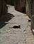 Victoria (Gozo)- Bild 16