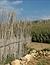 Xaghra (Gozo)- Bild 15