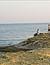 The Beachview Hotel (Marsalforn, Gozo)- Bild 2