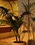 Hotel Kempinski San Lawrenz (San Lawrenz, Gozo)- Bild 11