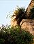 Tschawra (Xaghra, Gozo)- Bild 8